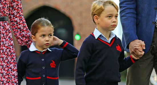 Pasauli aizkustina karalisko ķiparu pateicība mediķiem