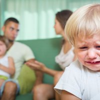 Омбудсмен: у сотен латвийских семей за границей возникли проблемы с соблюдением прав детей
