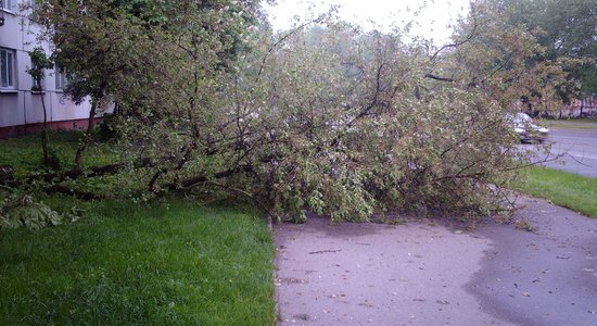 Apdrošinātājos vēršas ar atlīdzību pieteikumiem par vētras un krusas postījumiem