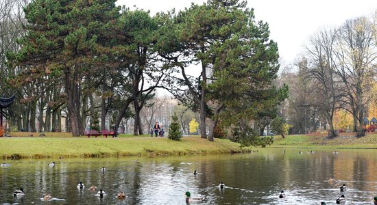 Рано утром из Рижского городского канала извлечен человек