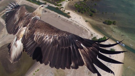 Capungaero / <a target="_blank" href="http://www.dronestagr.am/bali-barat-national-park-indonesia/">dronestagr.am</a>