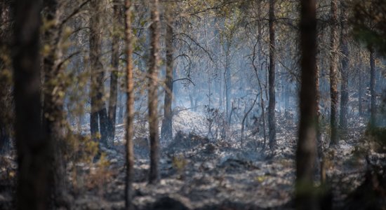 Ugunsgrēks Valdgales pagastā – vai 'Pindstrup' dienestiem ziņoja novēloti?