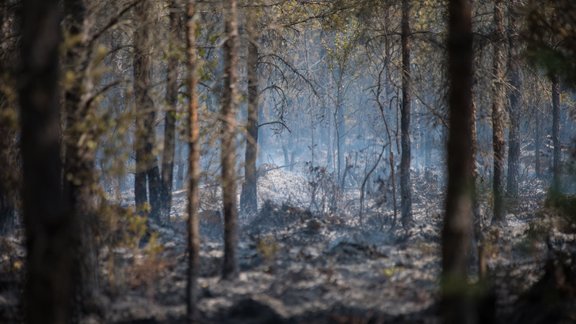 Ugunsgrēka dzēšana Valdgales pagastā  - 44