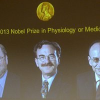 Nobela prēmiju medicīnā piešķir par šūnu vezikulu transporta mehānismu izskaidrošanu