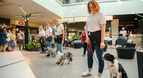 Теперь в Rīga Plaza можно приходить с домашними животными