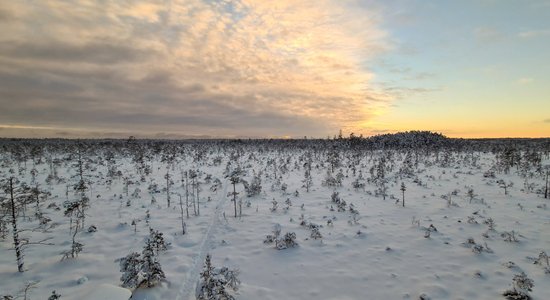 ФОТО. Живописная прогулка по заснеженному Ценскому болоту