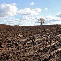 Latvijā sākas aktīva lauksamniecības zemju mēslošanas sezona