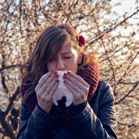 Klimata pārmaiņas sola nepatikšanas arī tiem, kas cieš no ziedputekšņu alerģijām