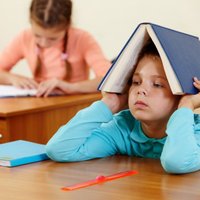 Перевод школ и детсадов на латышский язык: как это будет (по плану МОН)