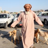 Omānā paātrina omanizāciju: ārvalstniekiem dod gadu valsts amatu atdošanai vietējiem