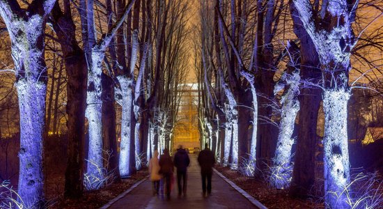 ФОТО: Ботанический сад ЛУ превратился в магический Зимний сад света