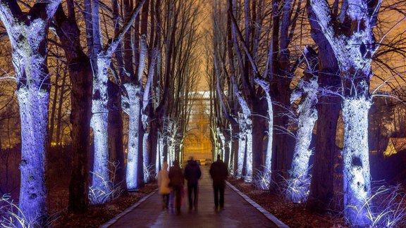 LU Botāniskais dārzs, Latvijas Universitātes Botāniskais dārzs, Ziemas dārzs, Ziemas dārzs 2019