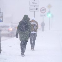 Jaunākā prognoze – novembra sākumā gaidāms pirmais sniegs