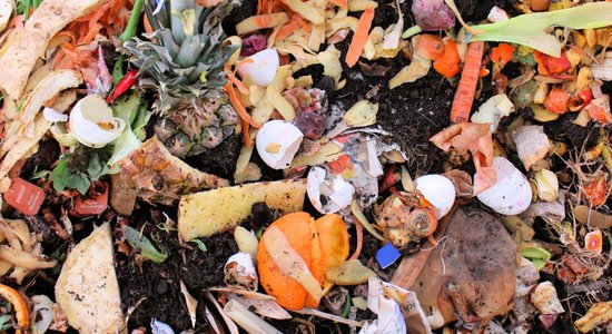 Satraucoši dati – atkritumu dedzināšana piesārņo netālu audzēto pārtiku, liecina pētījums