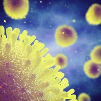 Vīrusi ir visur. Epidemioloģe skaidro gripas izplatību un veidus, kā sevi pasargāt