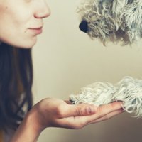 Spītējot liktenim: 10 aizkustinoši stāsti par cilvēkiem, kas adoptējuši nelaimē nonākušus dzīvniekus