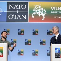 The Telegraph: страны НАТО призвали Зеленского не требовать "невозможного" — приглашения в альянс в этом году