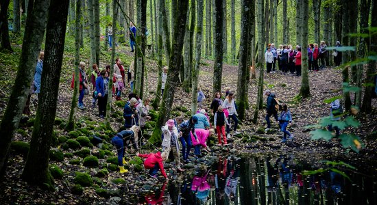 Zinību pilni meži: Pokaiņu gadatirgus fotomirkļos