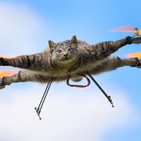 Foto: Kā no miruša kaķa uztaisīt helikopteru