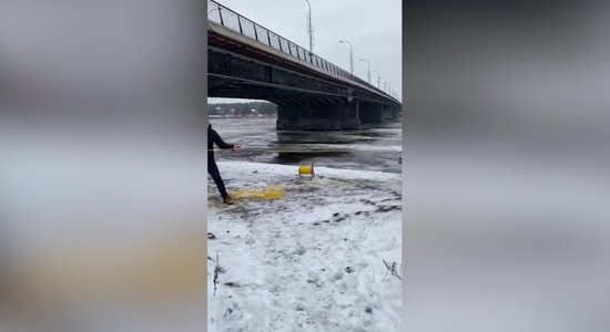 Video: Jūrmalā glābj Lielupes ledū ielūzušu suni