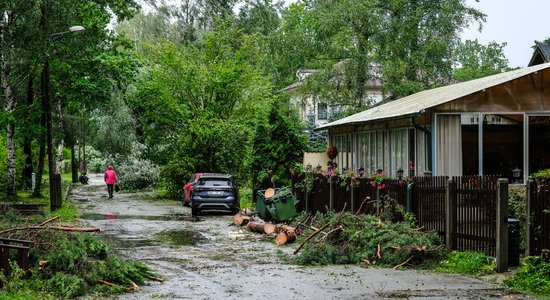 Буря в Латвии: жителям Юрмалы предоставят бесплатный вывоз веток и листьев