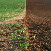 Tukuma novadam vēlas pievienot Engures novada zemes vienības