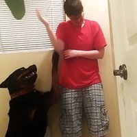Aizkustinošs video, kā uzticams suns spēj nomierināt ar Aspergera sindromu sirgstošo saimnieci lēkmes laikā