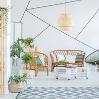 Botāniskais dārzs interjerā – drosmīgas idejas spilgtai dzīves telpai