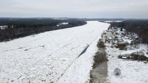 Vižņu sablīvējumi Daugavā - 21