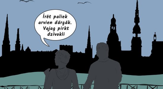 'Delfi Bizness' komikss: Labs dzīvoklis, tikai caurums sienā