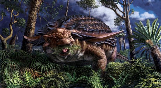 Zinātnieki Kanādā izpētījuši pārakmeņojušos dinozauru, kas atklāj negaidīti daudz