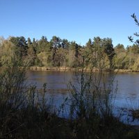 Синоптики: вода в реках Латвии прогрелась уже до +25 градусов