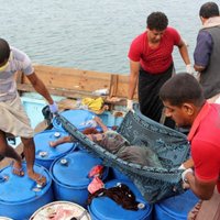 Kara plosītās Jemenas ostā ierodas bēgļu laiva ar nošautiem somāliešiem