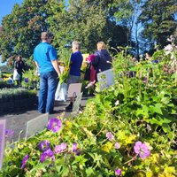 Foto: Rudens stādu parāde Siguldas Svētku laukumā