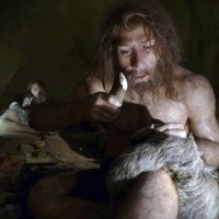 Ученые выяснили, как неандертальцы варили смолу