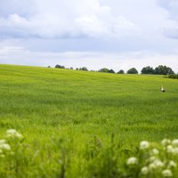 В Латвии разрабатывается новая земельная политика