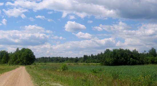 Grobiņā auto no ceļa iebrauc grāvī; pasažiere nokļūst slimnīcā