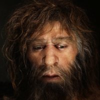 Неандертальцев уличили в использовании антибиотиков и аспирина