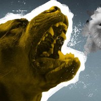 От красных ошейников до эвтаназии: как Латвия пытается решить проблему опасных собак