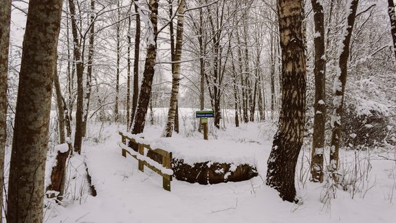 ФОТО. Каменная тропа Яунсташулю или Культовые камни горы Маконькалнс