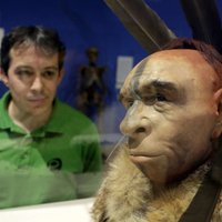 Oдежда помогла кроманьонцам пережить неандертальцев