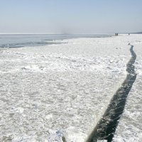 Из-за торосистого льда вблизи крупных островов застряли два грузовых судна из Латвии и Португалии