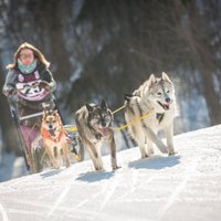 Baudi ziemas priekus Madonas novada 'Sniega dienās 2022'