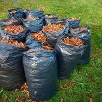 Pieci varianti, ko iesākt ar sagrābtajām lapām un dārza atkritumiem rudenī