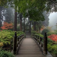 Ideālā dabas ainava miniatūrā: japāņu dārza skaistums