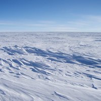 В Антарктиде построят "Ноев ковчег" для льда