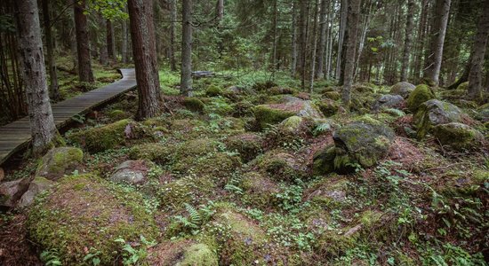 Brīvdienu maršruts: ko apskatīt Rojas novadā