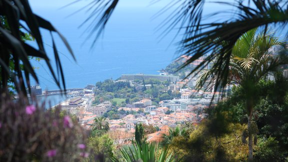 Madeira - 1