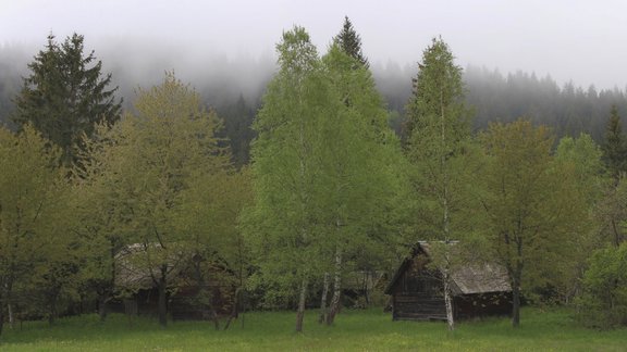 lauki, māja, lauku sēta, nekustamais īpašums