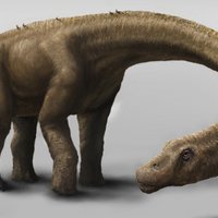 Atklāts pasaules vēsturē lielākais dinozaurs